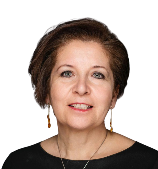Aytül Erçil
